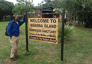 1 Day Chimpanzee Sanctuary Tour - Uganda