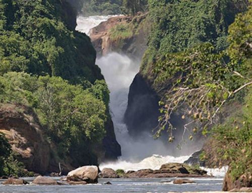 Murchison Falls Dam dropped by Uganda Government