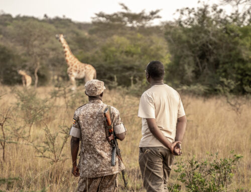 Wildlife Rangers at the Frontline of Protecting Africa’s Wildlife